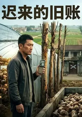 迟来的旧账在线观看
