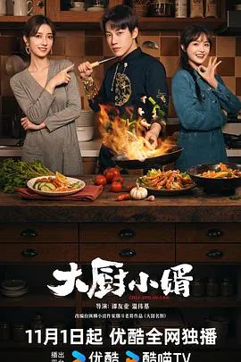 大厨小婿在线观看