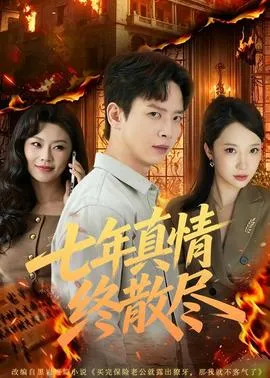 七年真情终散尽在线观看