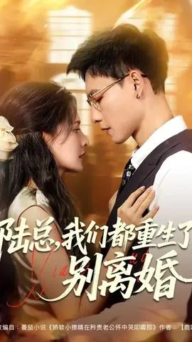 陆总我们都重生了别离婚在线观看