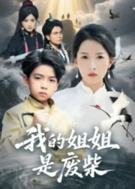 我的姐姐是废柴在线观看