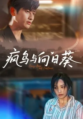 疯鸟与向日葵在线观看