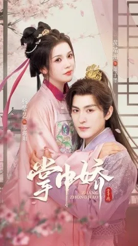 掌中娇94集在线观看