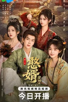 贤婿之憨婿在线观看