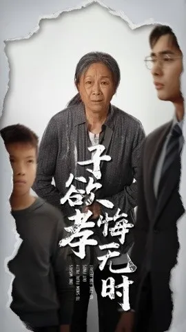 子欲孝悔无时在线观看