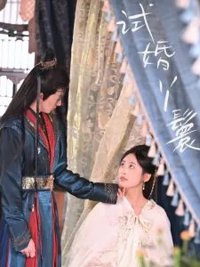 试婚丫鬟在线观看
