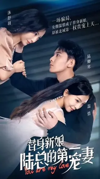 替嫁新娘陆总的第一宠妻在线观看