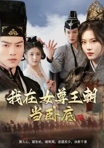 我在女尊王朝当卧底在线观看