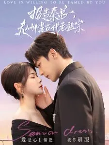 报告秦总，夫人她是古代老祖宗在线观看
