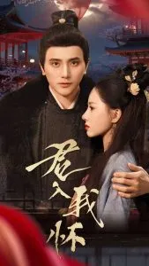 君入我怀在线观看