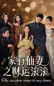 家有仙妻之财运滚滚在线观看