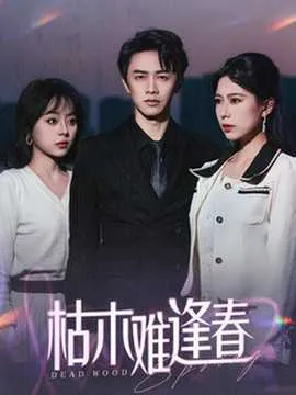 枯木难逢春在线观看