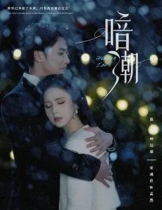 暗潮58集在线观看