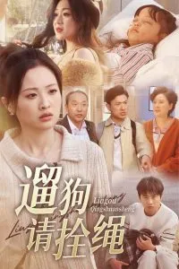 遛狗请拴绳在线观看