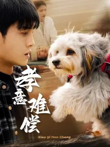 孝意难偿在线观看