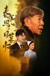 春晖照日暮归在线观看