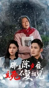 那年除夕后生死不复相见在线观看