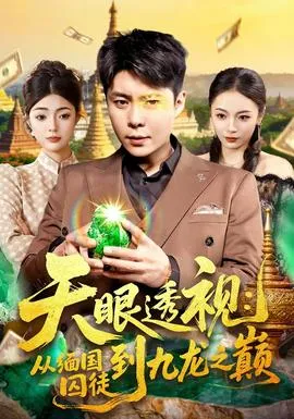 天眼透视：从缅国囚徒到九龙之巅在线观看