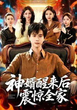 神婿醒来后震惊全家在线观看