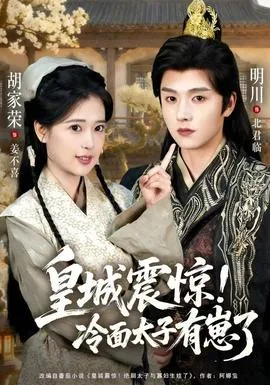 皇城震惊冷面太子有崽了在线观看