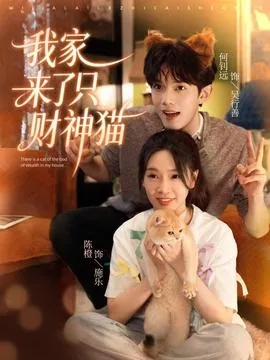 我家来了只财神猫在线观看