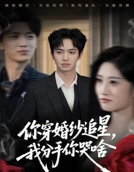 你穿婚纱追星，我分手你哭啥在线观看