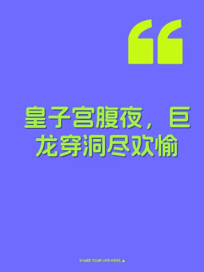 皇子宫腹夜，巨龙穿洞尽欢愉