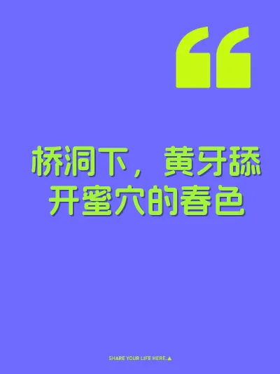 桥洞下,黄牙舔开蜜穴的春色