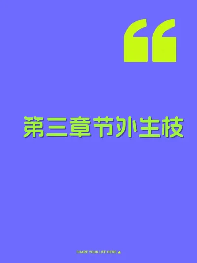 第三章节外生枝