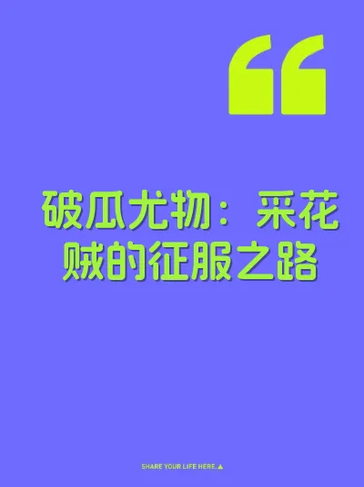 破瓜尤物：采花贼的征服之路