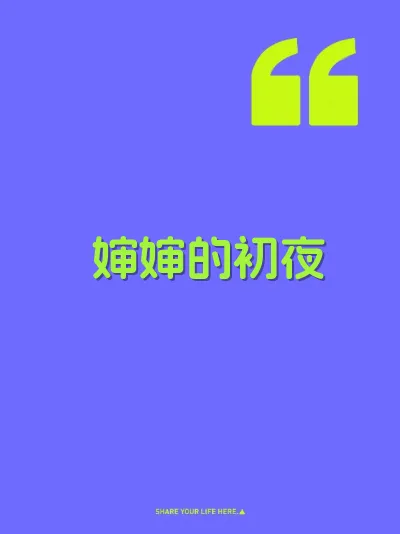 婶婶的初夜