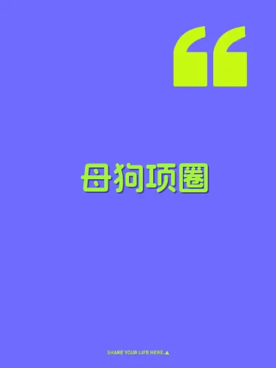 母狗项圈