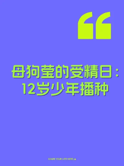 母狗莹的受精日：12岁少年播种
