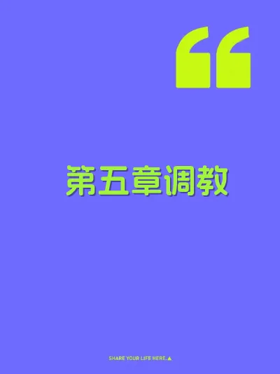 第五章调教