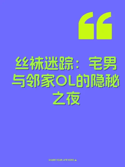 丝袜迷踪:宅男与邻家OL的隐秘之夜