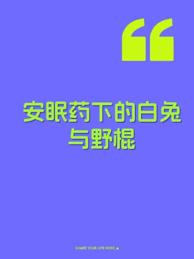 安眠药下的白兔与野棍