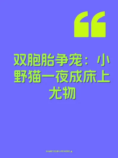 双胞胎争宠：小野猫一夜成床上尤物