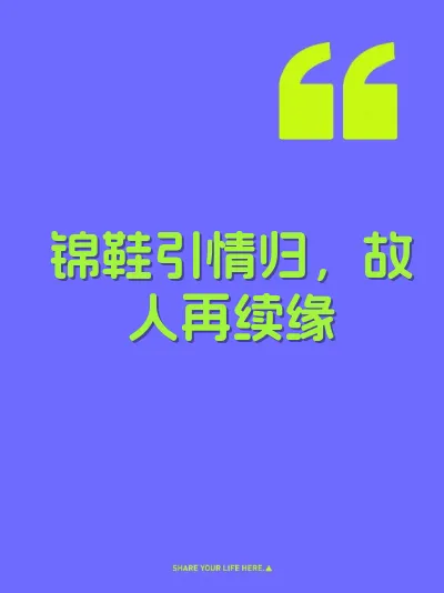 锦鞋引情归，故人再续缘