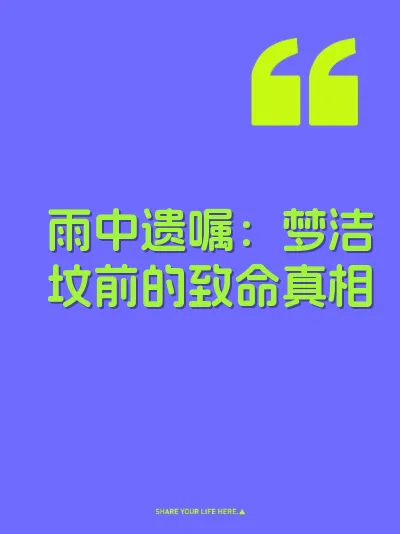 雨中遗嘱:梦洁坟前的致命真相