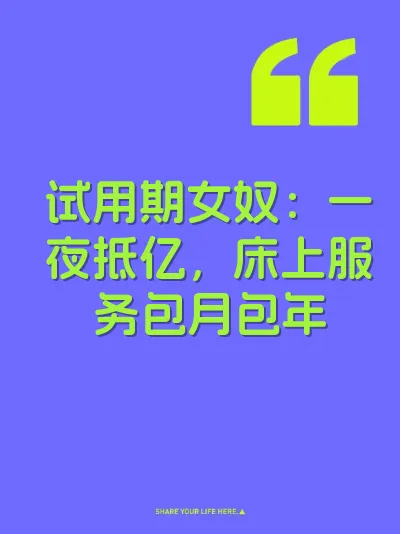 试用期女奴：一夜抵亿，床上服务包月包年