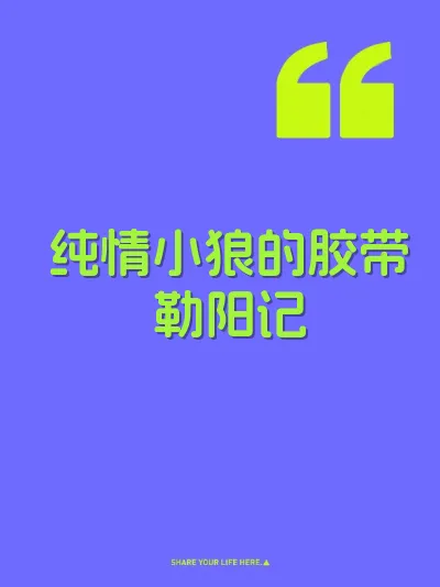 纯情小狼的胶带勒阳记