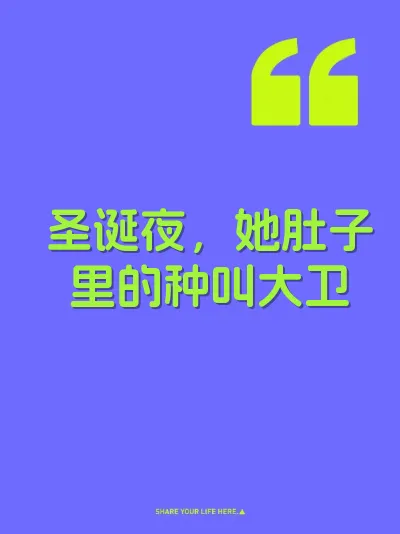 圣诞夜,她肚子里的种叫大卫