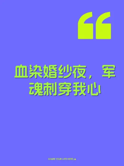 血染婚纱夜，军魂刺穿我心