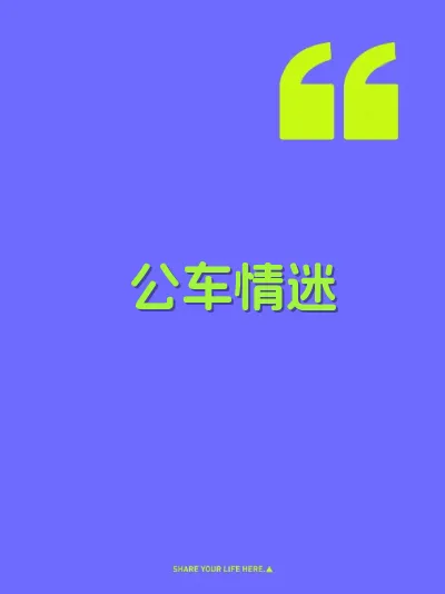 公车情迷