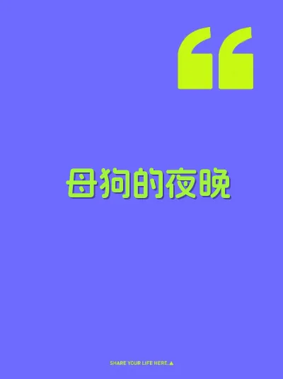 母狗的夜晚