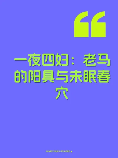 一夜四妇：老马的阳具与未眠春穴