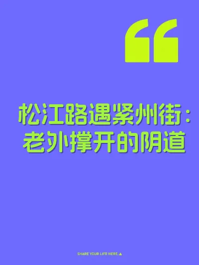松江路遇紧州街:老外撑开的阴道