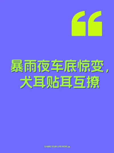 暴雨夜车底惊变，犬耳贴耳互撩