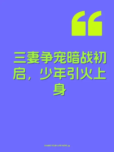三妻争宠暗战初启，少年引火上身