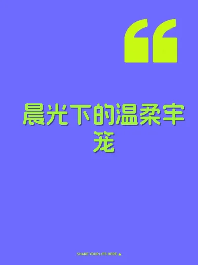 晨光下的温柔牢笼